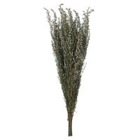 Vickerman 22"-26" Grabia Bundle, Preserved