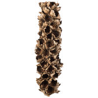 Vickerman Natural Giant Seed Pod Segment, Dried