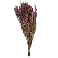 Vickerman 18-20" Heather Bundle, Preserved