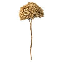 Vickerman Natural Botanicals 15” Hydrangea with Multiple Branch Segments, Preserved