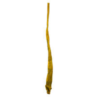 Vickerman 36-38" Sea Kelp, Dried