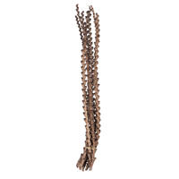 32-36" Natural Ladder Branches - 7/Pk