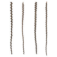 Vickerman Ladder Branches, Dried