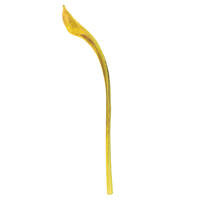 Vickerman 20-24" Ninja Wood, Dried