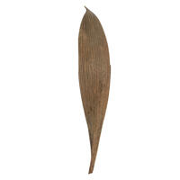 Vickerman Palm Paddles, Dried