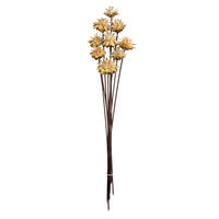Vickerman 20" Plumosum Head attached to a Brown Stem, Dried 9 Stems