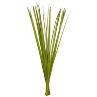 Vickerman Sable Grass, Dried