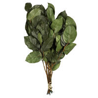 Vickerman 16-22" Natural Botanicals Salal Foliage Bunch