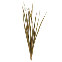 Vickerman 18-30" Snake Grass, Dried - 36 Stems