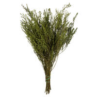 Vickerman 14"-18" Stoebe Bundle, Preserved