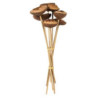 Vickerman 15" Tigela Pod attached to a Wood Stem, Dried 7/Pk