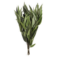 18" Green Willow Eucalyptus 5oz Bundle