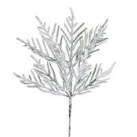 24" Frosted Norfolk Pine Spray 10T