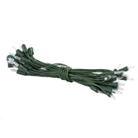 50Lt LED WW/Grn Ital 8"sp  2023 <