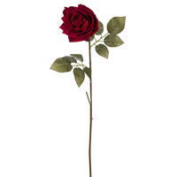 41" Red Grand Rose Stem 2/Bag