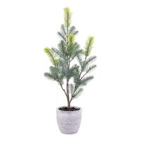 Vickerman Blue Spruce Series
