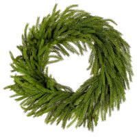 28" Green Norfolk Pine Wreath