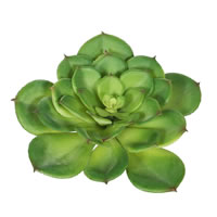 7" Green Succulent Stem 3/pk