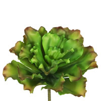9" Big Romaine-Green/Brown 3/pk