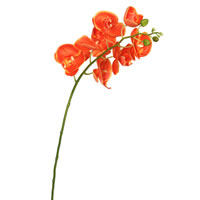Vickerman 35" Real Touch Orchid Artificial Floral Stem
