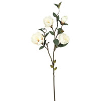 38" Cream Magnolia 3/pk