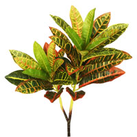 23" Real Touch Croton Spray 3/pk
