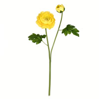 Vickerman 19" Artificial Ranunculus Stem 6/Pk