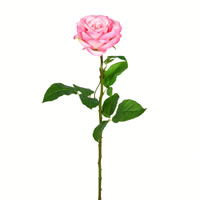 Vickerman 26" Artificial Rose Stem