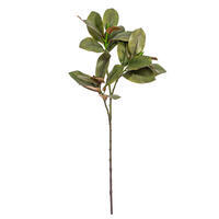 35" Green Magnolia Branch 22 Leaves 2/Bg