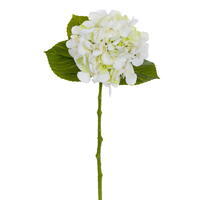 FreshTouch Bigleaf HydrangeaUV 3/Bag