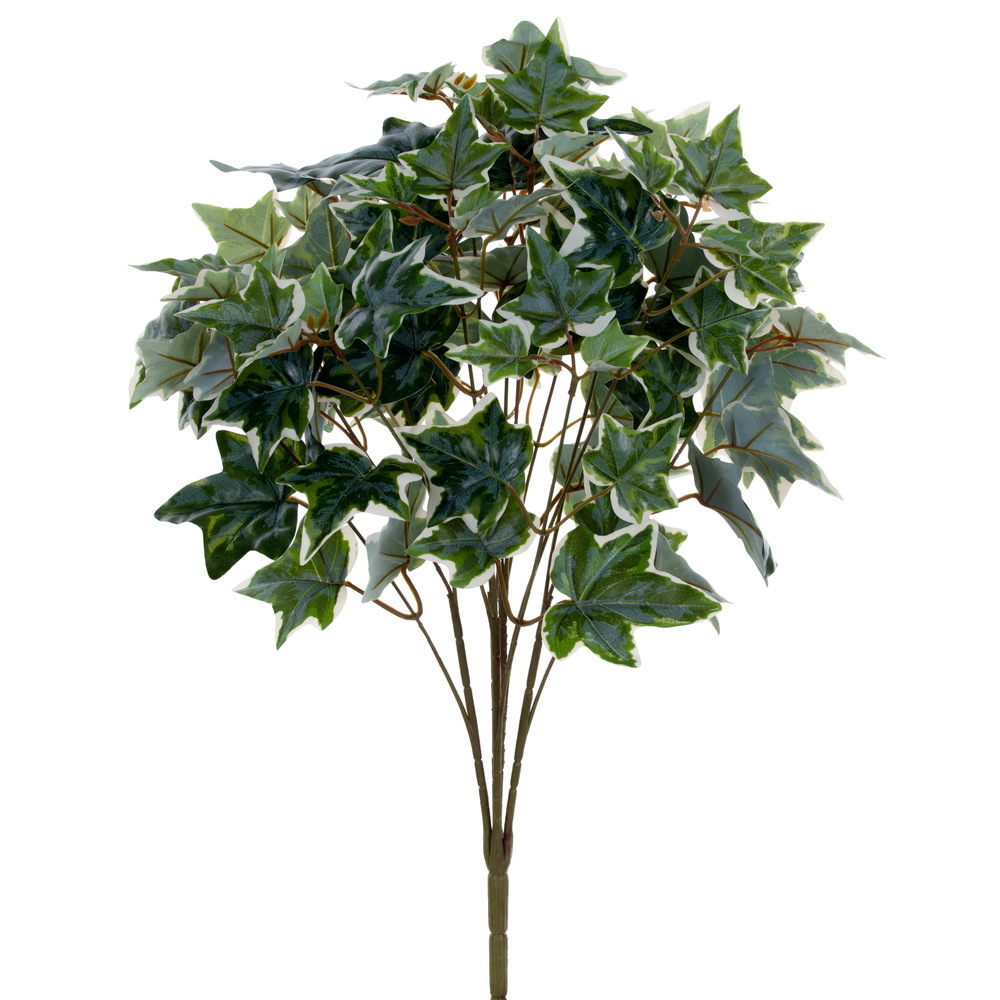 Green White Ivy