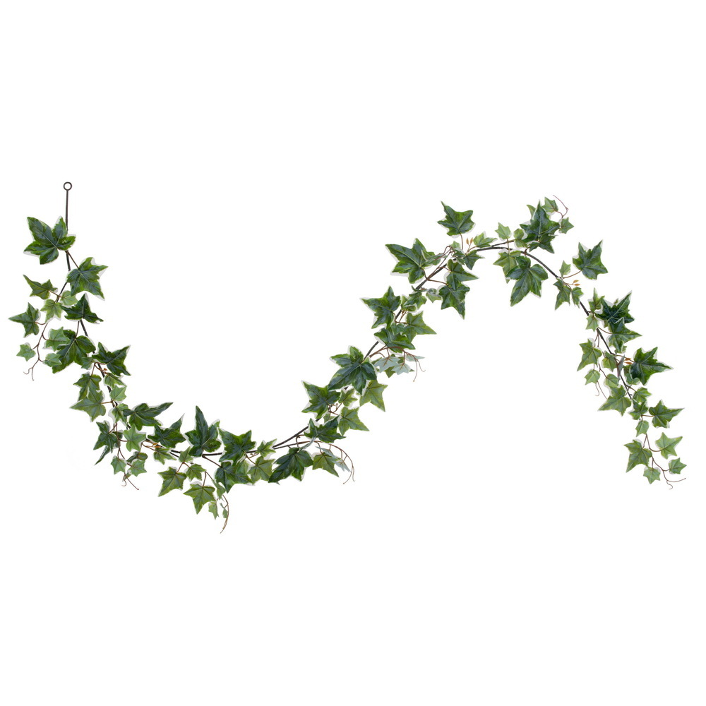 Green White Ivy