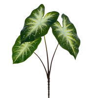 19" GreenWht Caladium Bush 3Lf FT UV 2Bg