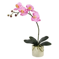 Vickerman Artificial Orchid Arrangement