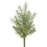 13" Rosemary Pick 3/pk
