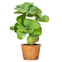 14" Green Potted Succulent