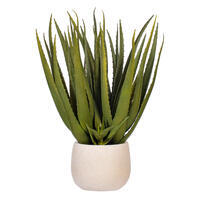 19.5" Green Aloe Plant in Cement Pot