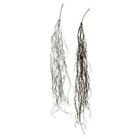 Vickerman 37" Artificial Trailing Succulent