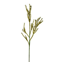 18" Green Cactus Spray 6/pk