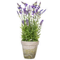 Vickerman Artificial Lavender Topiary