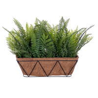 24" Fern Bush in Basket UV