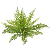 Vickerman Artificial Lace Fern Bush