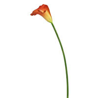 Vickerman Artificial Large Stem Calla Lily