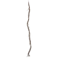 Vickerman Artificial Twig Branch Series