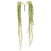 39" Green Senecio Bush W/1132 Bean