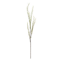 50" Green Mountain Prunus Stem 3/Pk