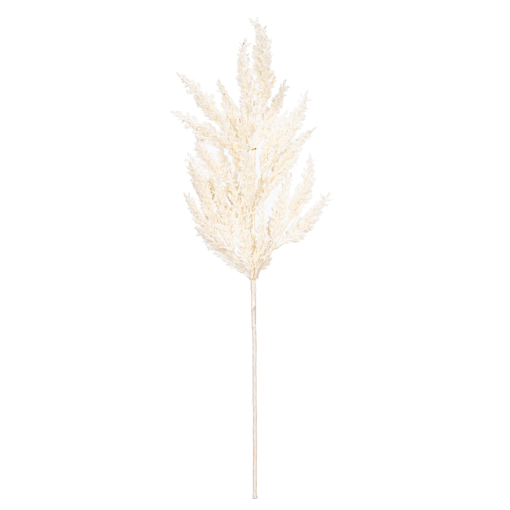 24" Pampas Grass Wreath