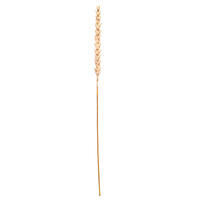 Vickerman 34" Artificial Design Polynesian Stem, 3 per bag