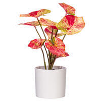 Vickerman 16" Artificial Variegated Leaves in Pot.