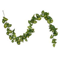 72" Syngonium Garland UV